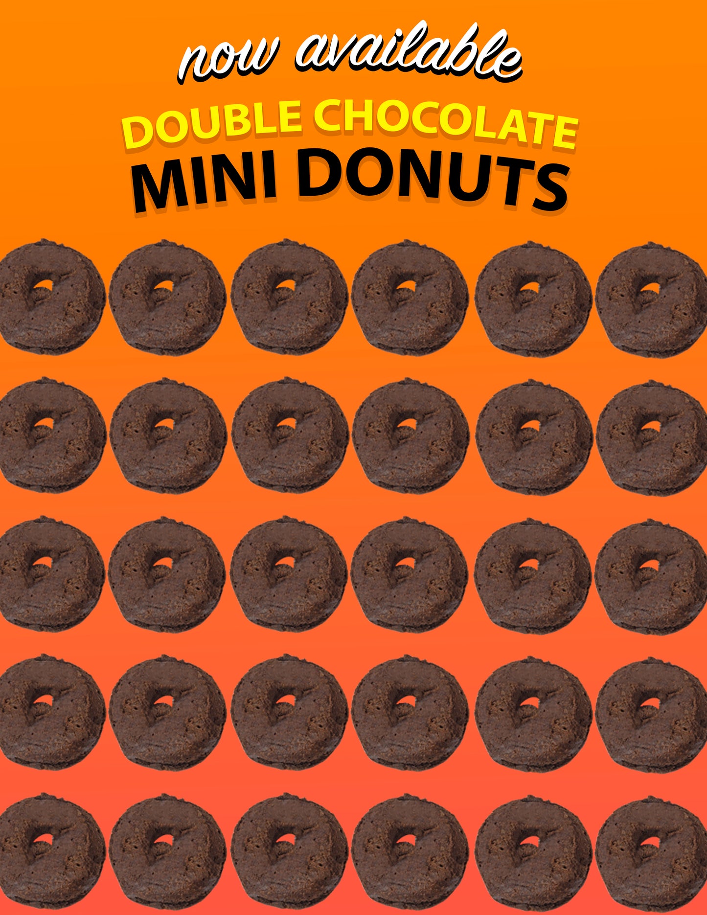Foodservice Mini Donut Case (400pcs) - Double Chocolate Plain